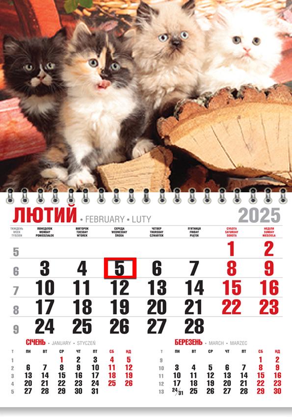 Календар на 2025 р. Економ Муркотіння чотирьох