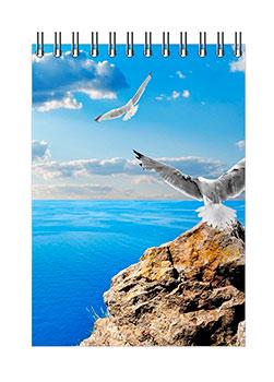 Блокнот Romus A6 96 аркушів у клітинку верхня спіраль (R44262)