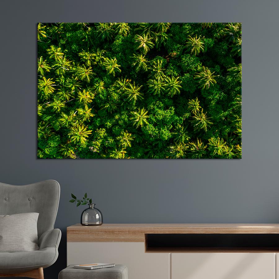 Картина природа Вид сверху на пальмы 120x80 см (A1152-1)