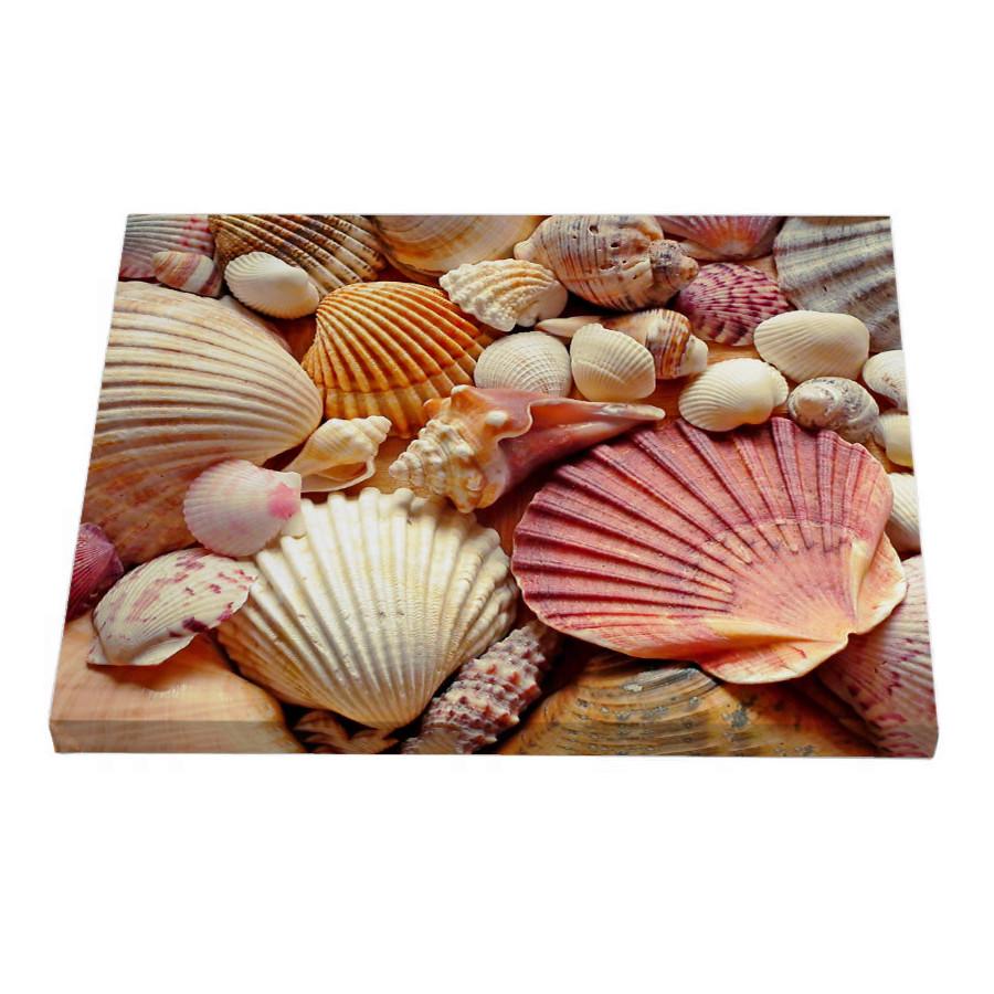 Постер Riviera Blanca Мушлі 40x50 см (ПС50-102)