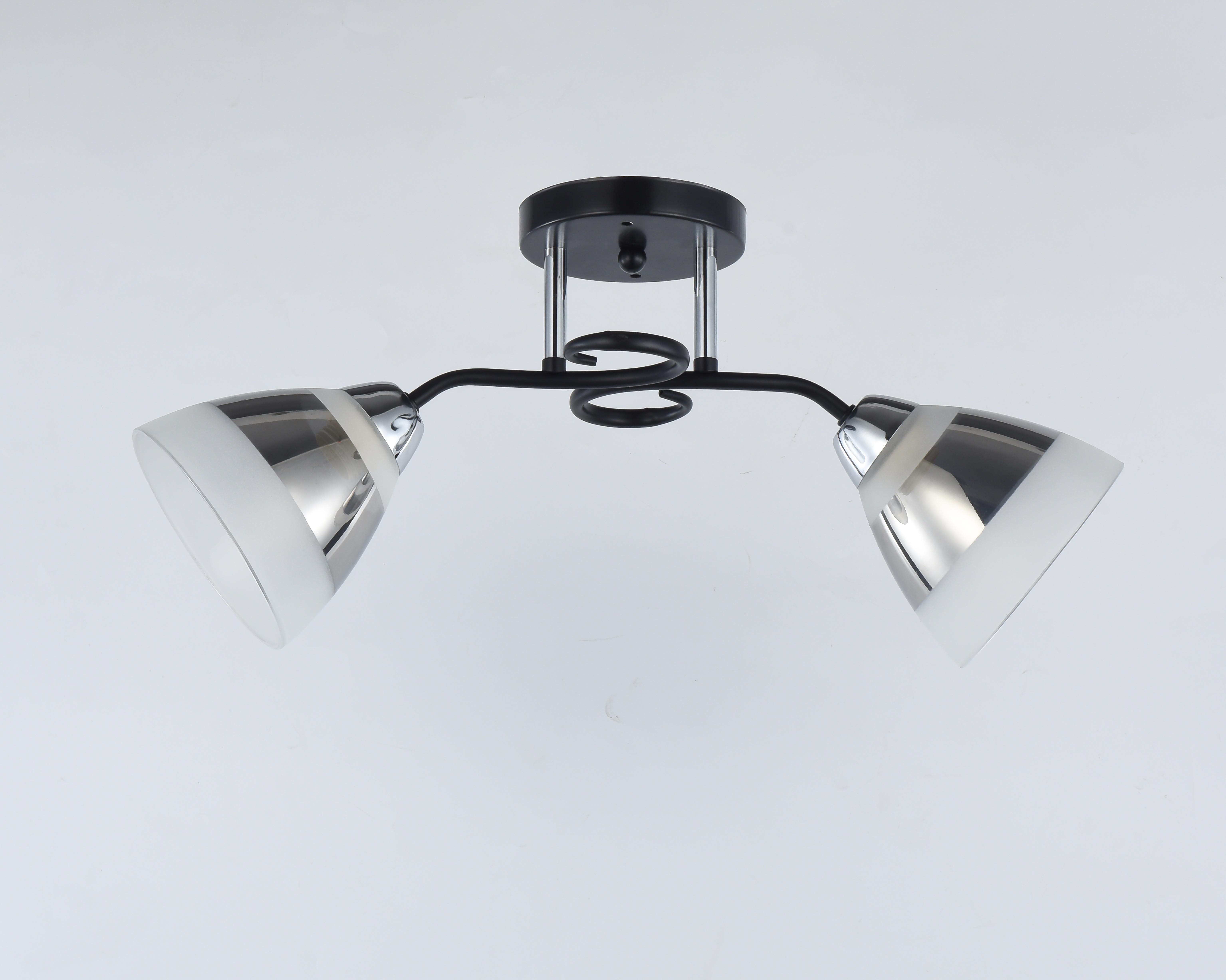 Люстра Sirius 9135/2 на 2 плафона (372589)