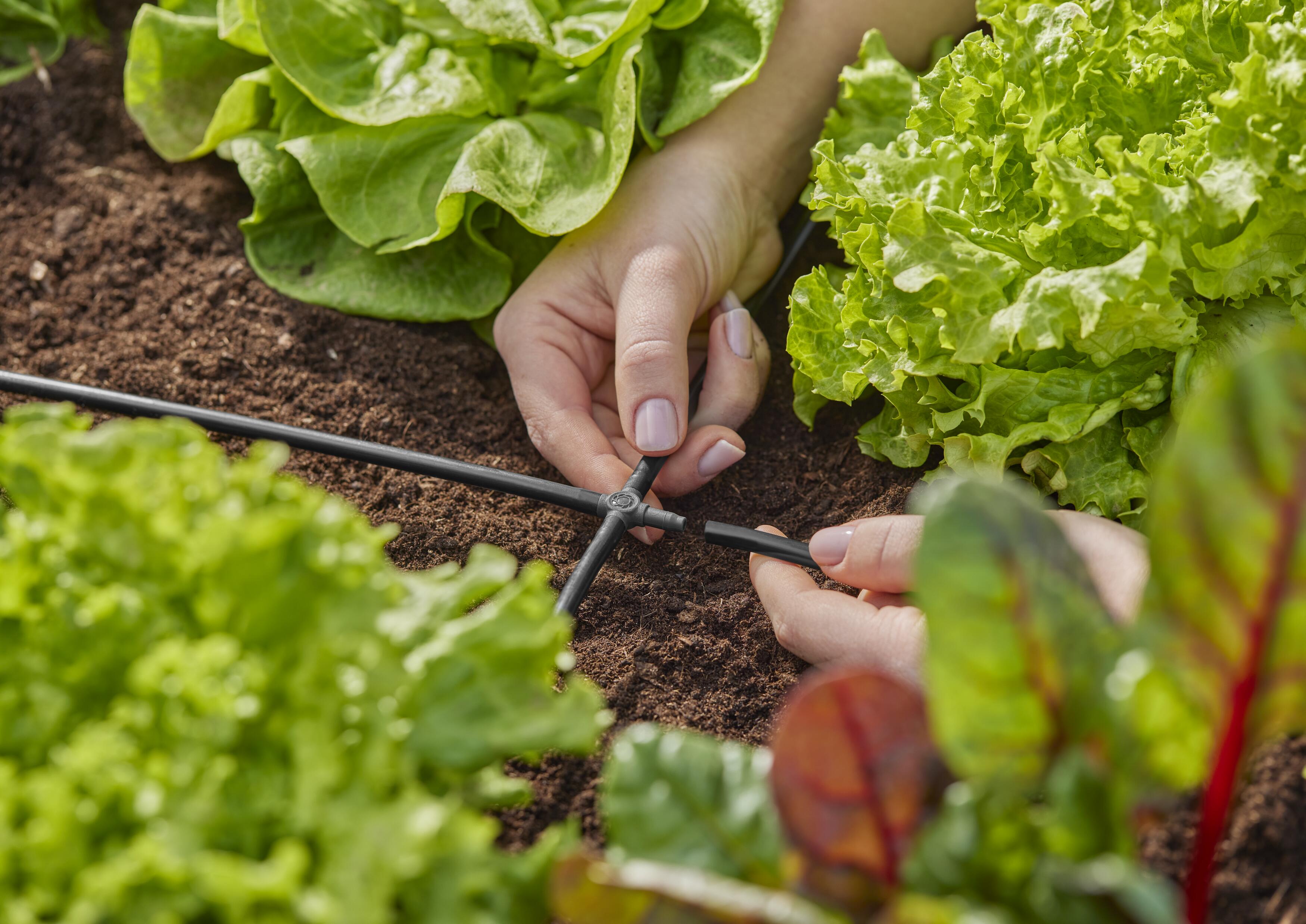 Соединитель крестообразный Gardena Micro-Drip-System для шлангов 4,6 мм 10 шт. (13214-20) - фото 2