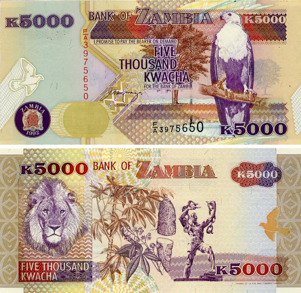 Колекційна банкнота Замбія 5000 квач 1992 UNC Лев (P41)