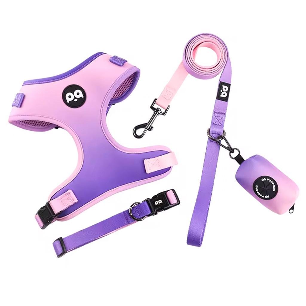 Набор амуниции для собак анатомический шлейка/ошейник/поводок/сумочка для пакетов S Розово-фиолетовый (21208713)