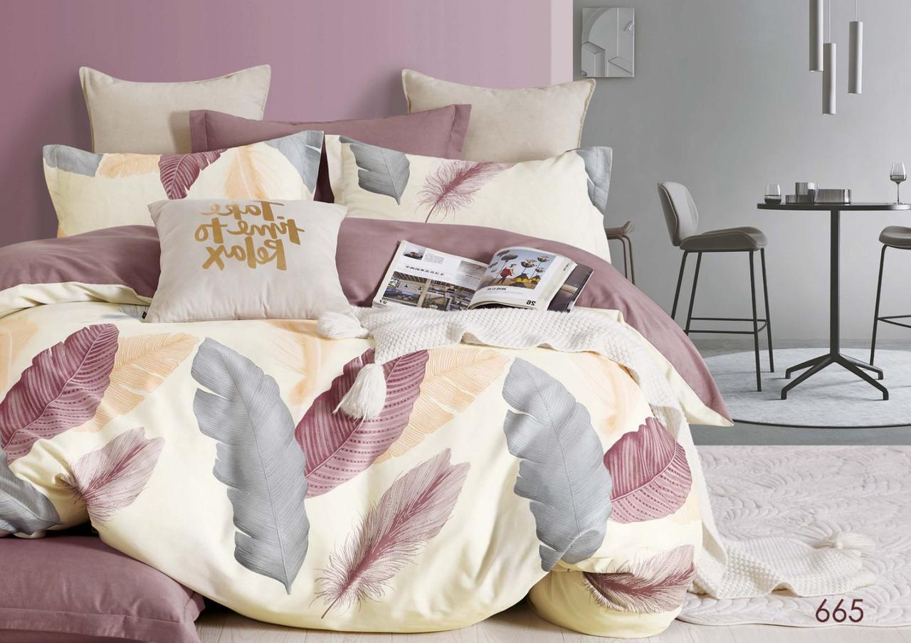 Постельное белье Viluta Isleep 665 сатин твил семейный (19651)