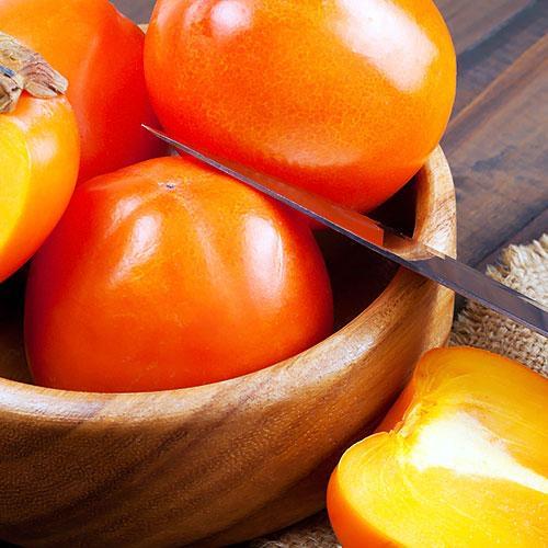 Сажанец Хурма на виргинском морозостойком подвое Сосновская высший сорт! (46130)