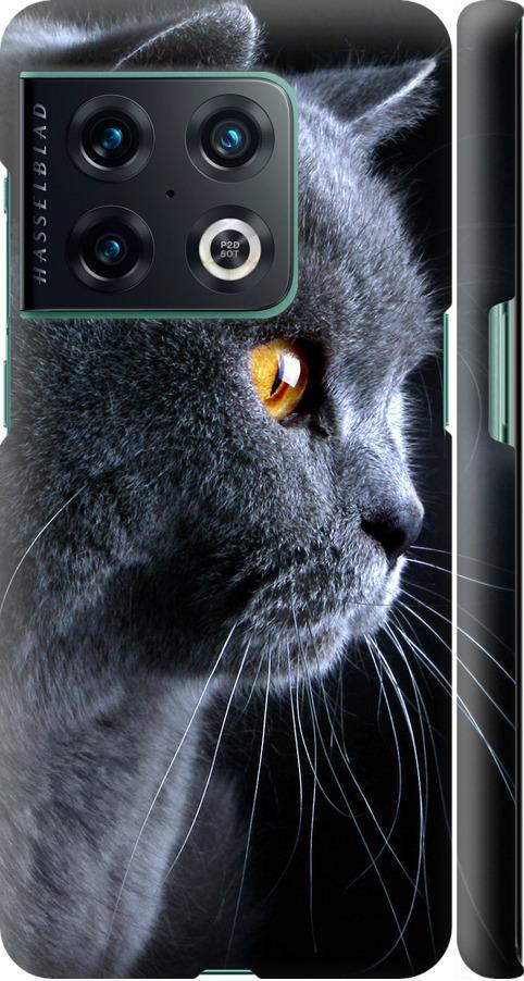 Чехол на OnePlus 10 Pro Красивый кот (3038m-2588-42517)