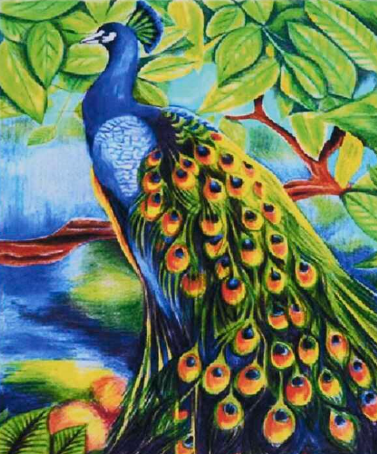 Картина за номерами TK Group 31772 30 Павич 30х40 см (110331)