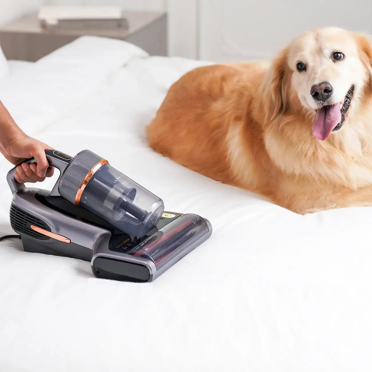 Пилосос безмішковий JIMMY BX7 Pro Max (569129) - фото 15 Пилосос безмішковий JIMMY BX7 Pro Max (569129) - фото 15