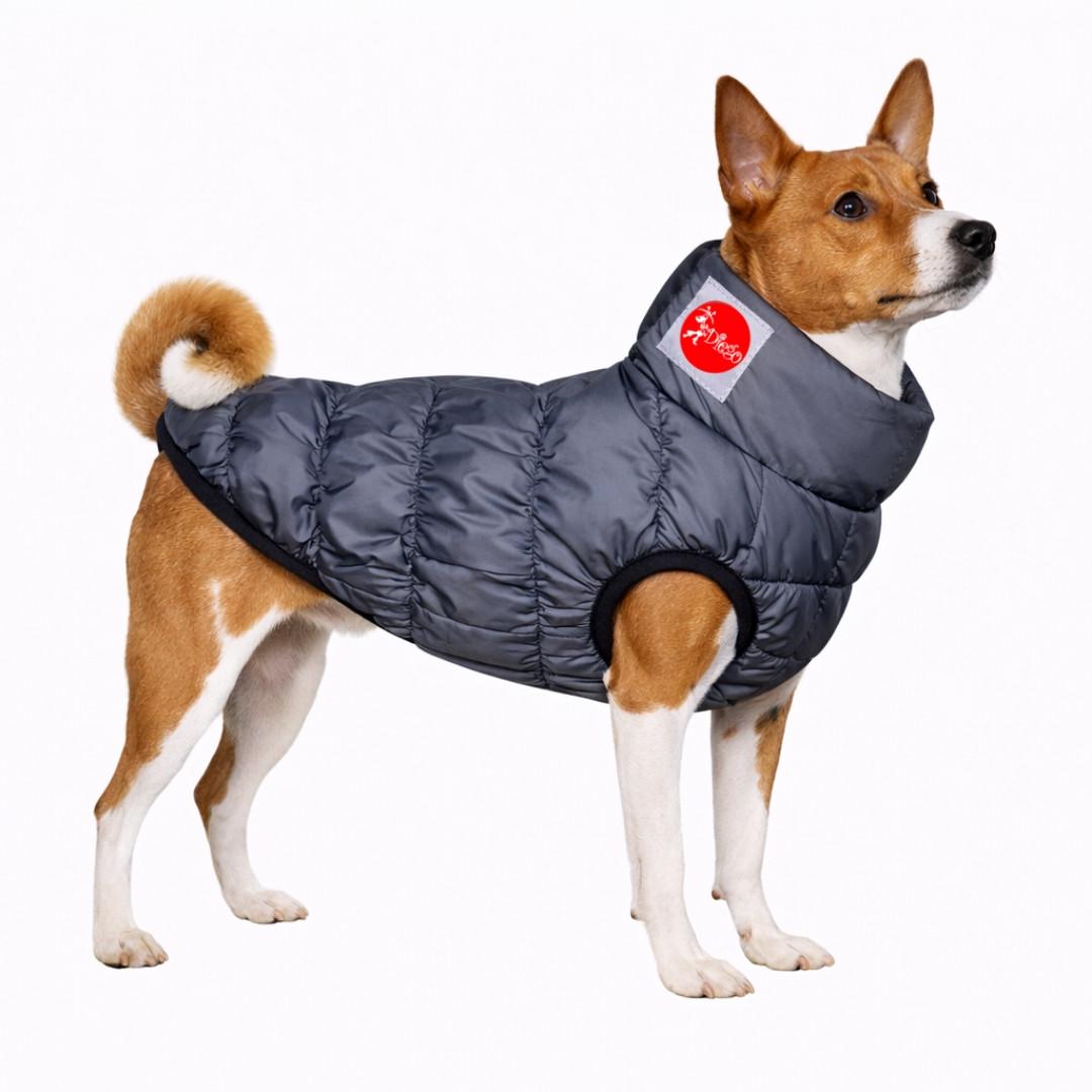 Жилет для собак Diego Sport р. 4 Сірий (124181802)