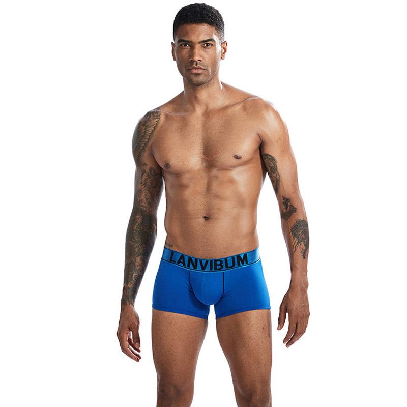 Трусы Lanvibum L Синий (7462)