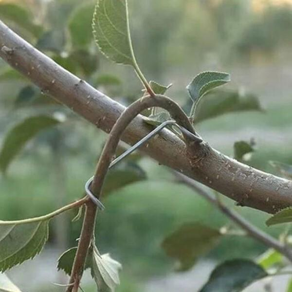 Фіксатори для гілок дерев M00655-2 з гумовим покриттям 26 см 10 шт. - фото 5