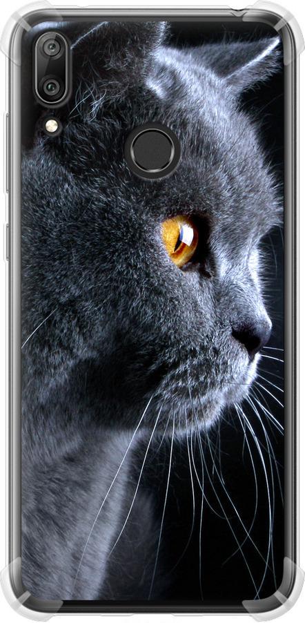 Чехол на Huawei Y7 2019 Красивый кот (3038sp-1638-42517) Чехол на Huawei Y7 2019 Красивый кот (3038sp-1638-42517)
