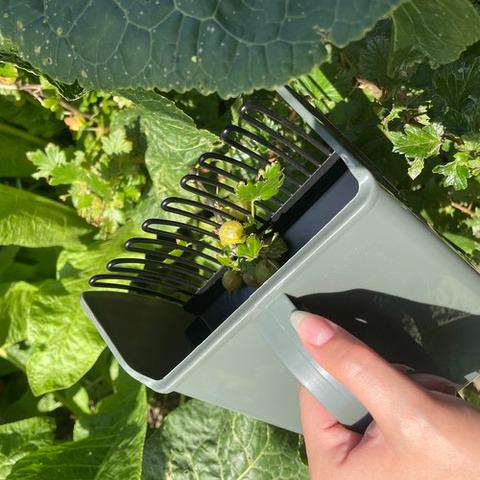 Збиральник ручний для дрібних плодів Сірий - фото 10