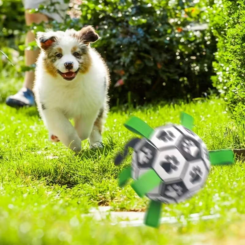 Интерактивная игрушка для собак Мяч жевательный/поисковый (i002) - фото 7 Интерактивная игрушка для собак Мяч жевательный/поисковый (i002) - фото 7