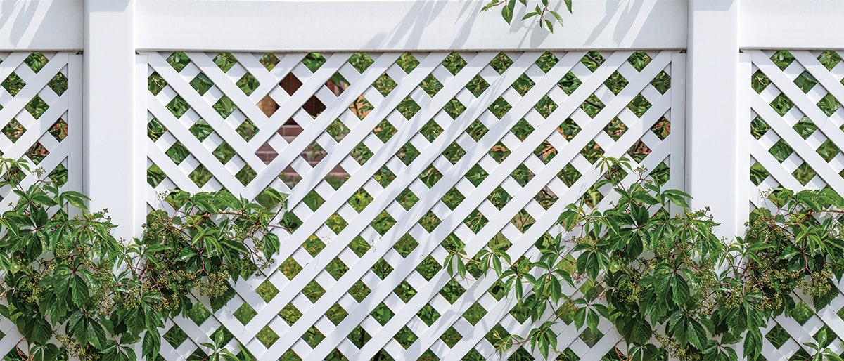 Фотосітка Паркан з виноградом 800924 3х2 м (25442772)