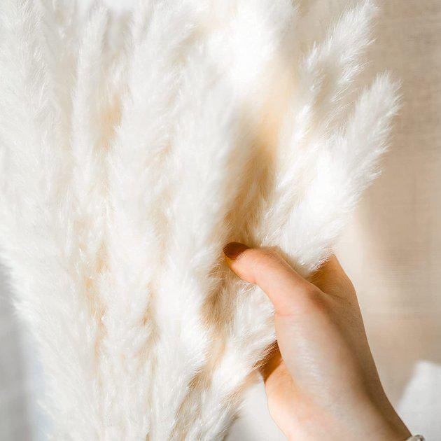 Трава пампасная для декора 15 шт. (BE-15-PW) - фото 2 Трава пампасная для декора 15 шт. (BE-15-PW) - фото 2