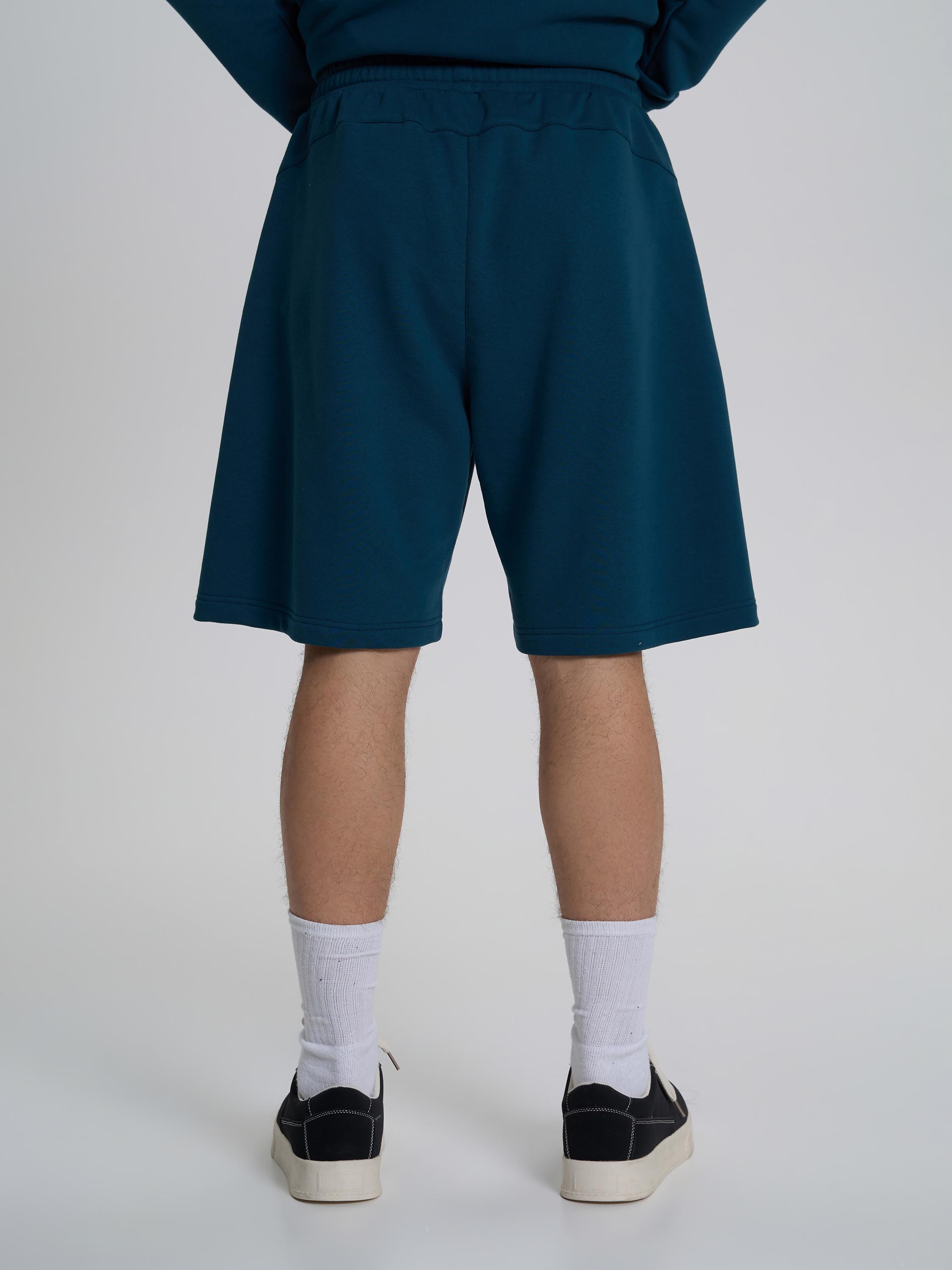 Шорты мужские плотные ROZA 240625 XL Сине-зеленый (4824005726309) - фото 3 Шорты мужские плотные ROZA 240625 XL Сине-зеленый (4824005726309) - фото 3