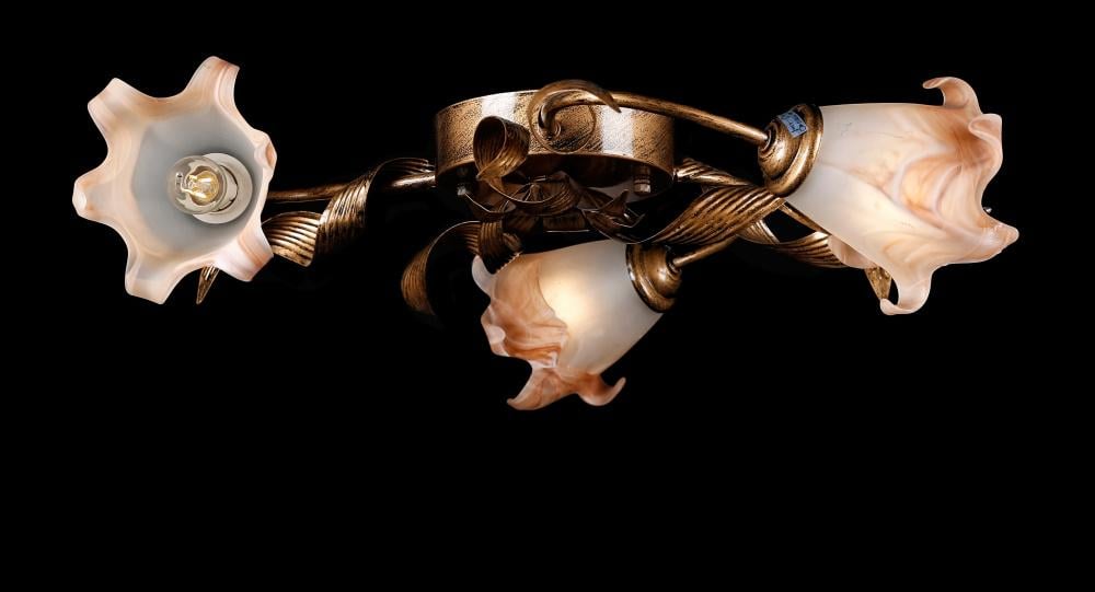 Люстра с плафонами Ray L90534B/3 (IR005558)