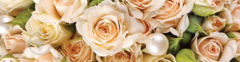 Наклейки кухонный фартук  Zatarga "Роза беж "  600х2500 мм Беж (Z180284)