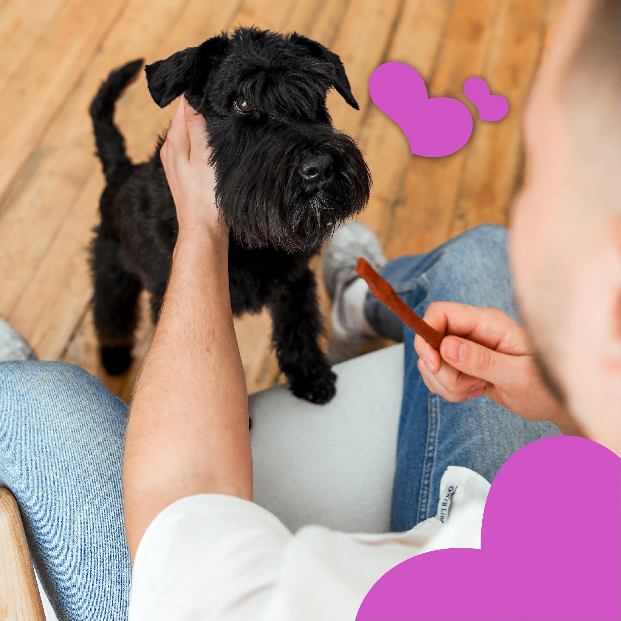 Ласощі для собак MAVSY Duck sticks for dogs Качині палички для догляду за зубами та яснами 120 г (13501969) - фото 6