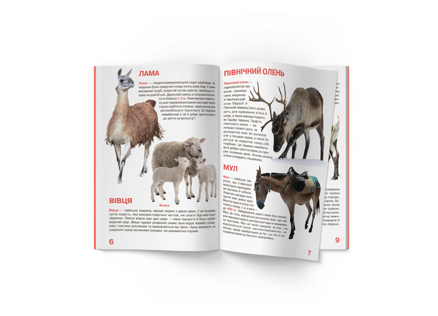 Книга "Велика книжка. Свійські тварини" (F00013734) - фото 5