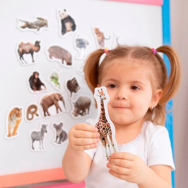 Набір магнитів Magdum Зоо Фото 19 шт. (ML4031-02) - фото 4 Набір магнитів Magdum Зоо Фото 19 шт. (ML4031-02) - фото 4