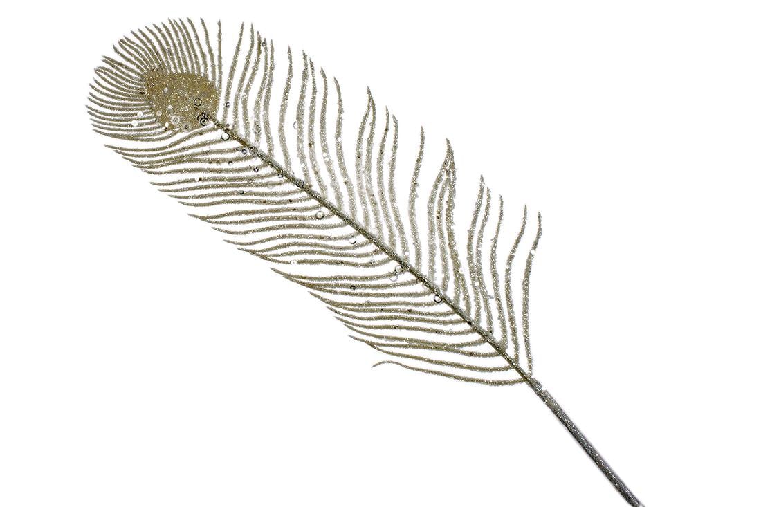 Ветка декоративная BonaDi Перо Павлина 69 см (839-489)
