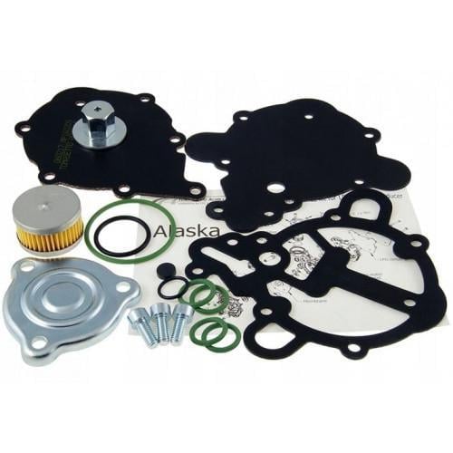 Ремкомплект редуктора TOMASETTO AT09 Alaska с фильтром