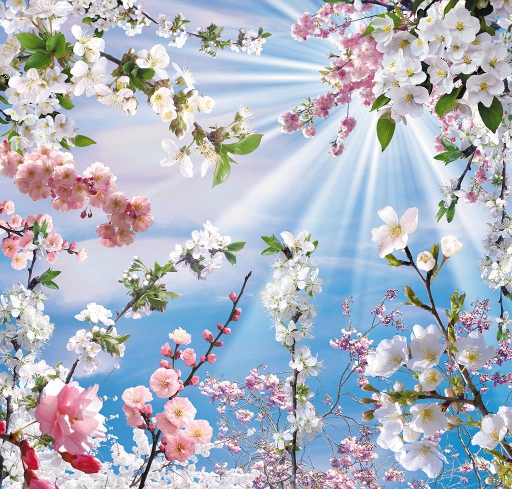 Фотошпалери на паперовій основі Ніка Весна 24Л 290х280 см (2000000454764)