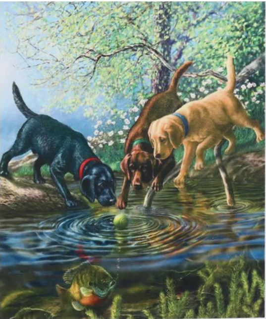 Алмазна мозаїка за номерами Josef Otten Цуценята 70578_BGLE 40x50 см (MTT-191162)