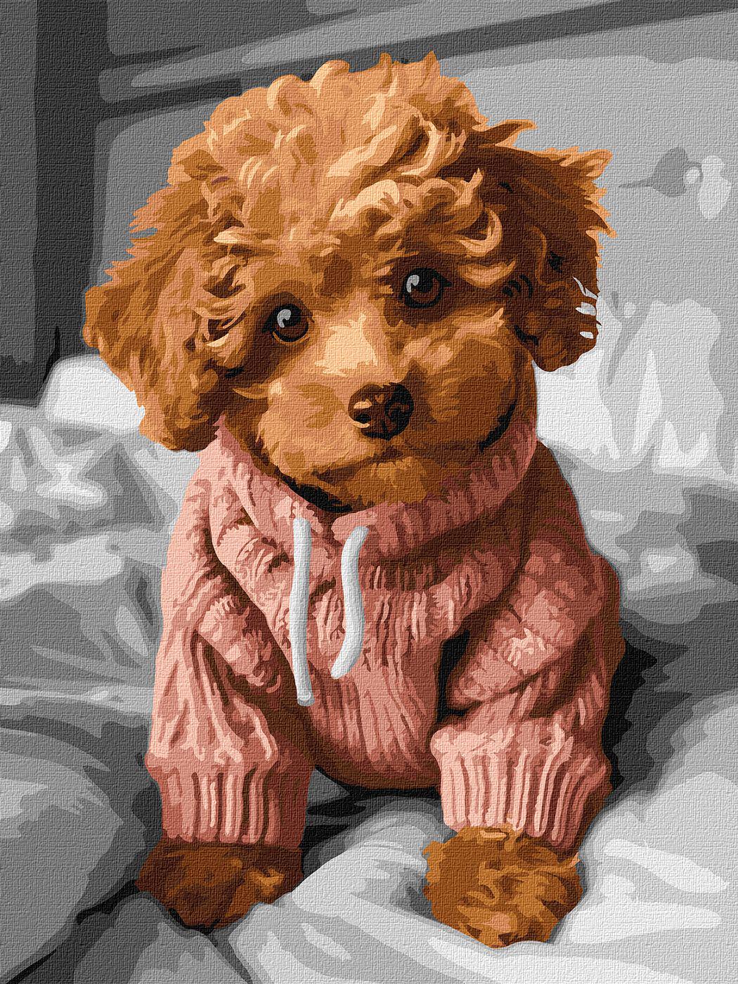 Картина по номерам Идейка Очаровательный мальтипу 30x40 см (Id-KHO6589)