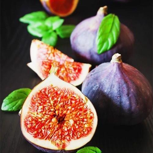 Сажанець Інжир Кримський 44 (25967)