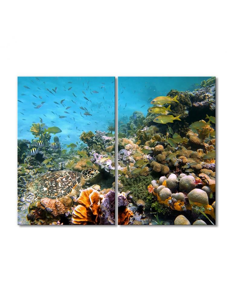 Картина модульная Подводный мир кораллы рыбки черепаха 2 модуля 30х45 см
