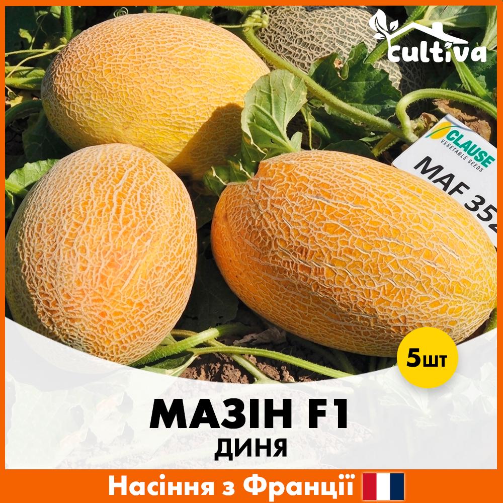 Семена дыни Clause Мазин F1 5 шт. (R51171)