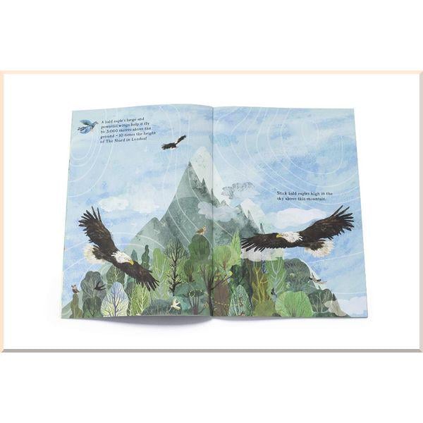 Книга Thames & Hudson "The Big Sticker Book of Birds" Yuval Zommer (ISBN:9780500652008) - фото 3