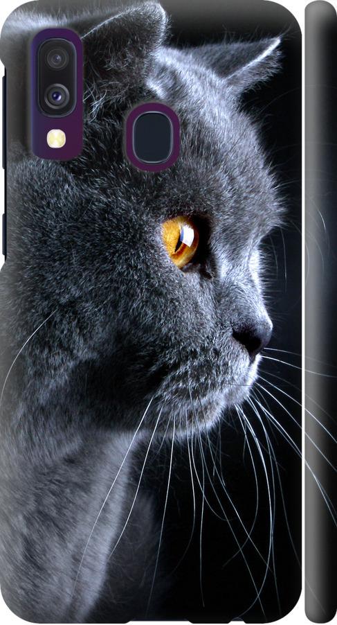 Чехол на Samsung Galaxy A40 2019 A405F Красивый кот (3038m-1672-42517)
