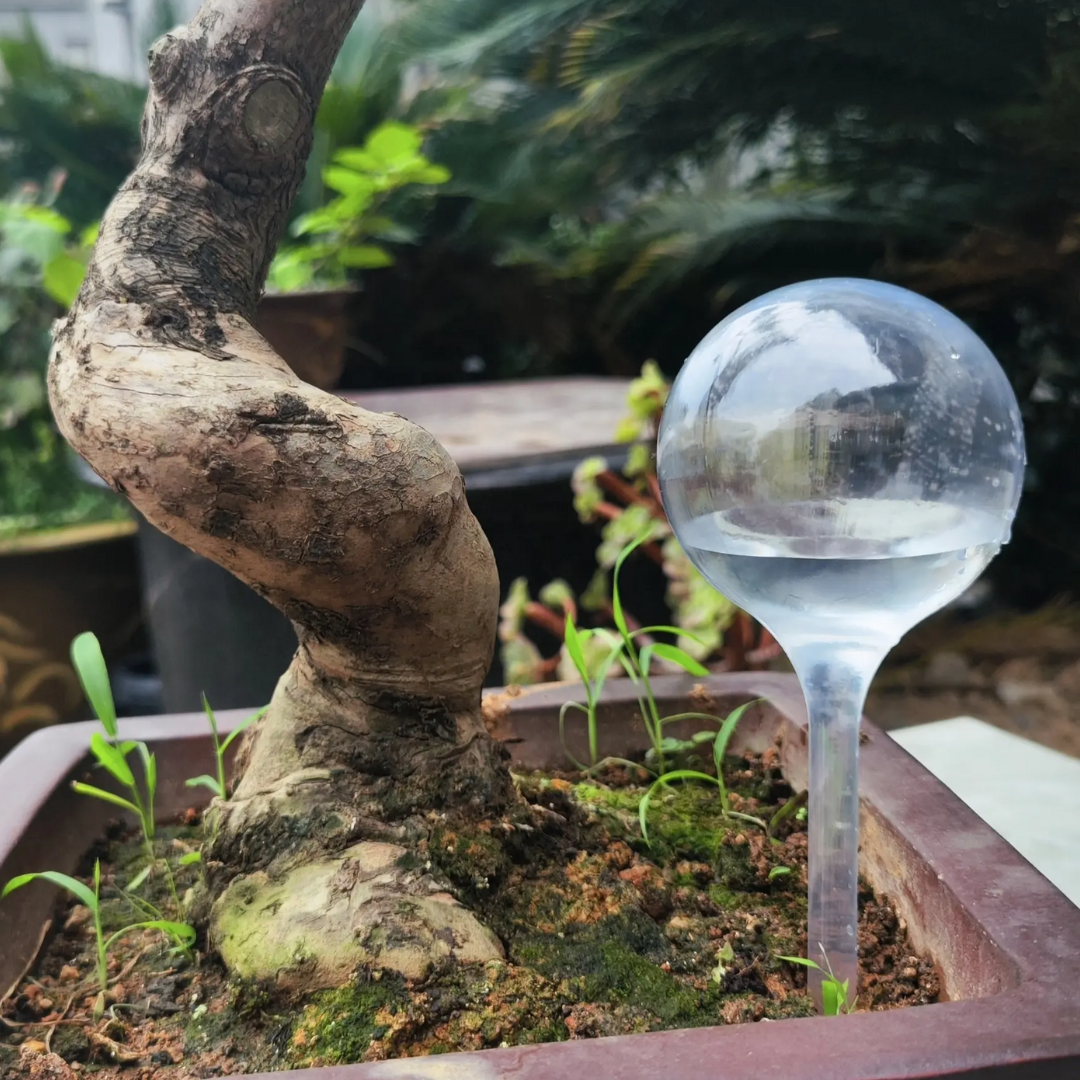 Колба для автоматического полива в виде шара 8х25 см 3 шт. Прозрачный (Garden_Globes25_Trans) - фото 3