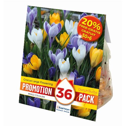 Промо-пак Крокуси Florium KAPITEYN Large Flowered Mixed Colours (18291)