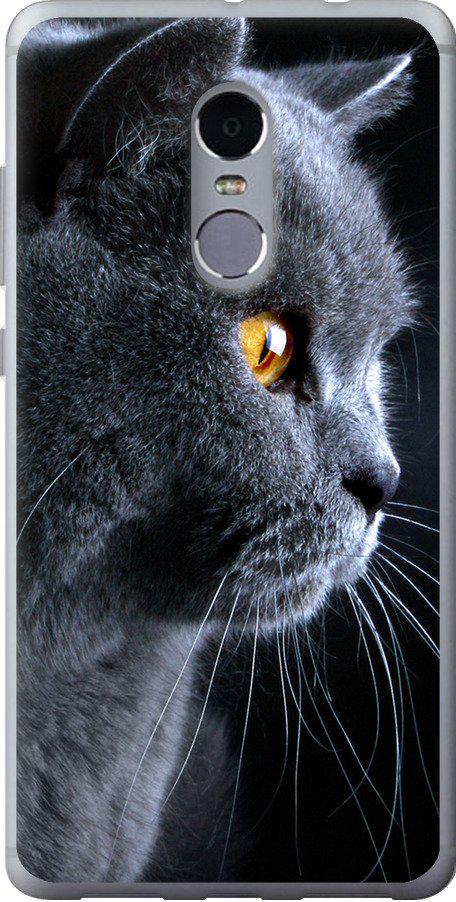 Чехол на Xiaomi Redmi Note 4 Красивый кот (3038t-352-42517)