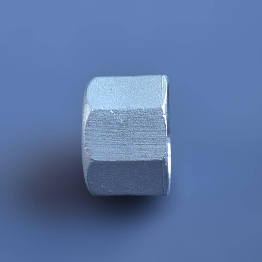 Заглушка різьбова восьмигранна DN25 BSPP н/ж сталь AISI304 Class-150 внутрішня різьба 1" (29203227) - фото 6 Заглушка різьбова восьмигранна DN25 BSPP н/ж сталь AISI304 Class-150 внутрішня різьба 1" (29203227) - фото 6