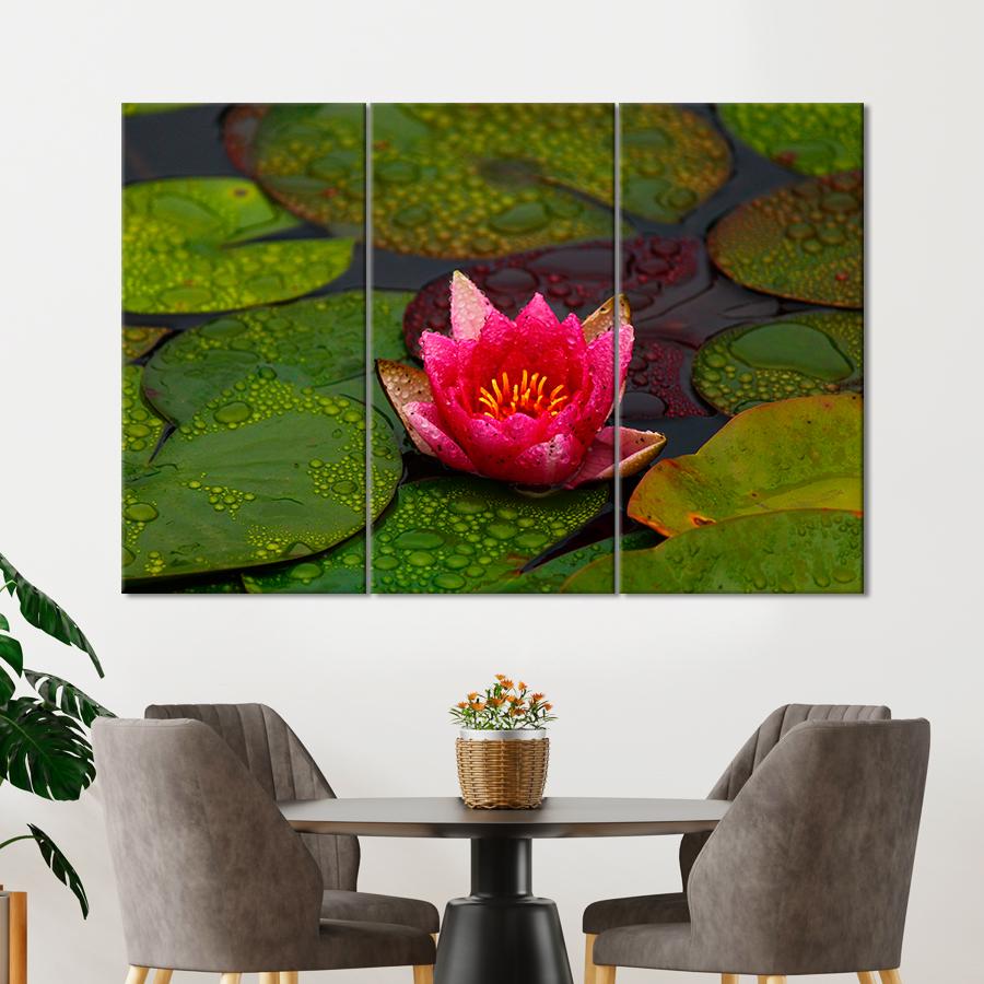 Картина цветы и растения Необычный розовый лотос 128x81 см (A1019-3)