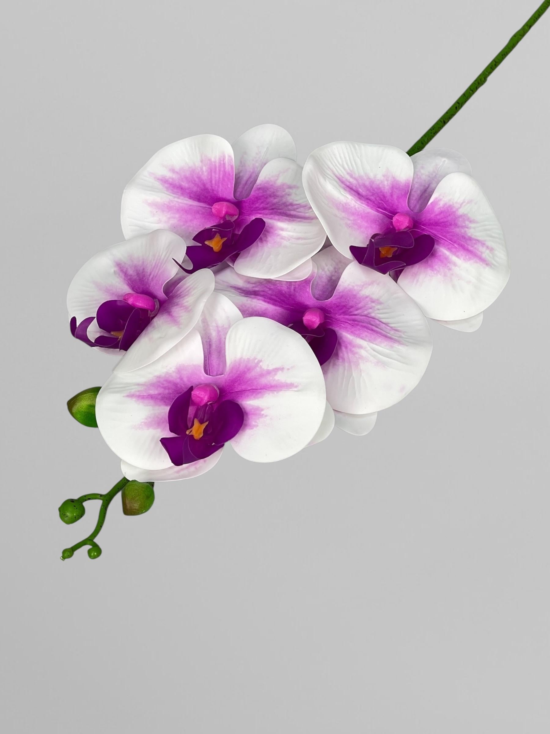 Искусственная орхидея Фаленопсис на 5 соцветий 70 см Белый с фуксионной серединкой (К01181)