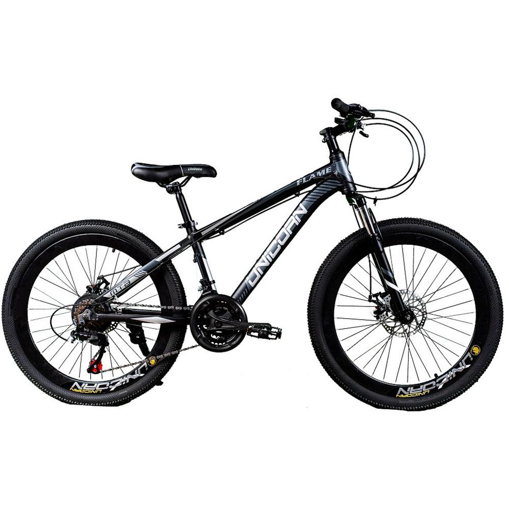 Велосипед Unicorn Flame 24" 2021 Серый (000F24SE)
