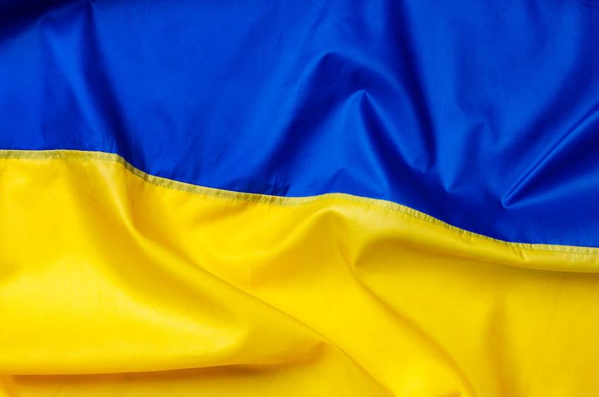 Флаг Украины 100х75 см (IMP_FLG_3)