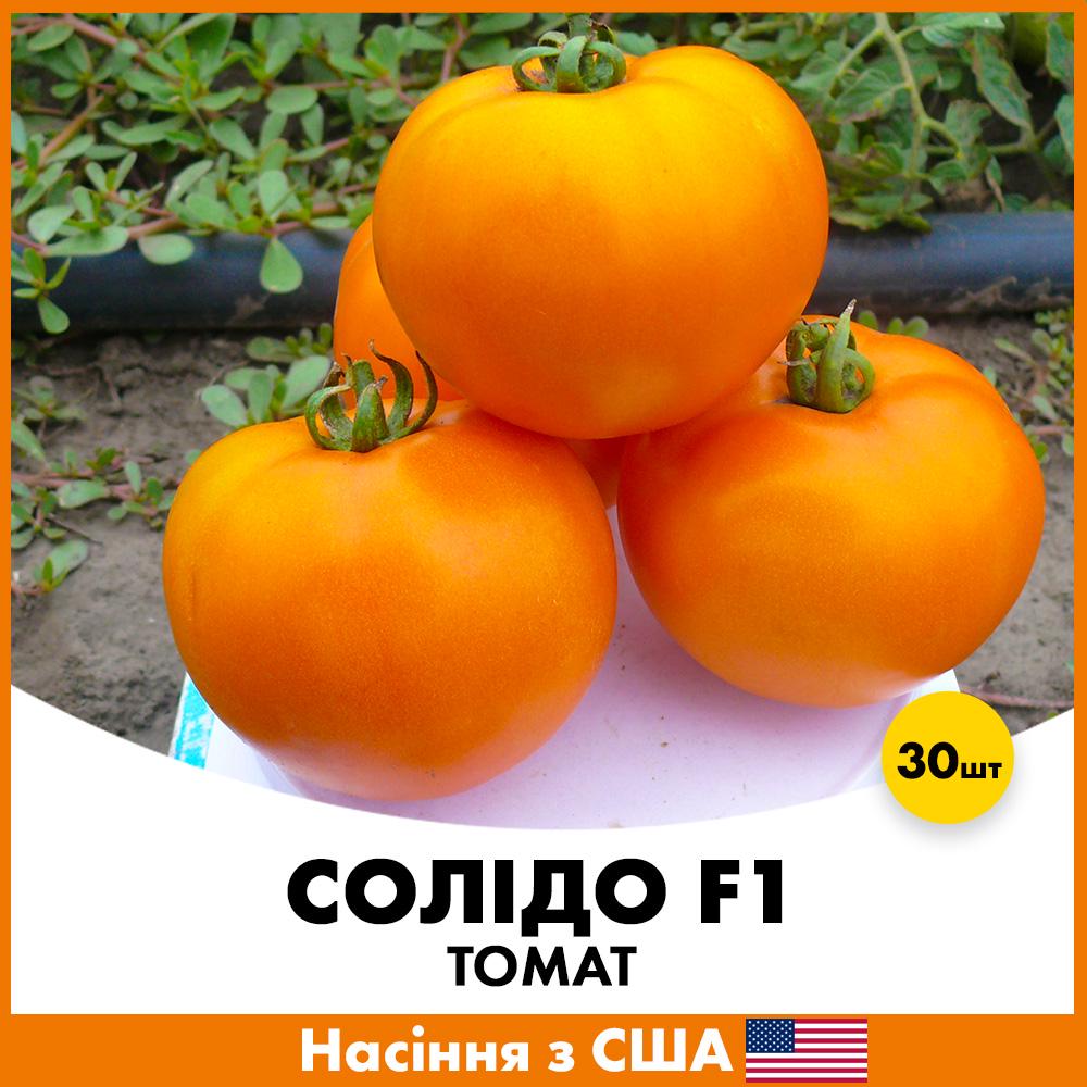 Семена томата Spark Seeds Солидо F1 30 шт. (jkl16-30)