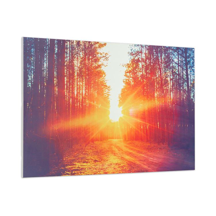 Нагреватель инфракрасный KLARSTEIN Wonderwall Картина панельный 90х60 см