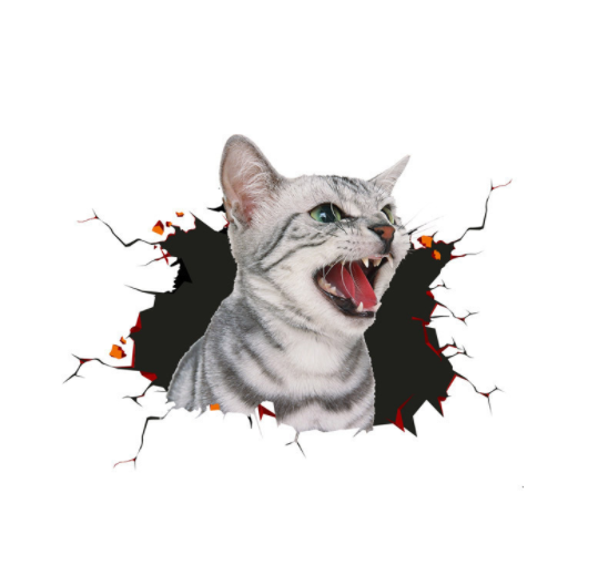 Наклейка на авто AIWA Кот 3D 00879