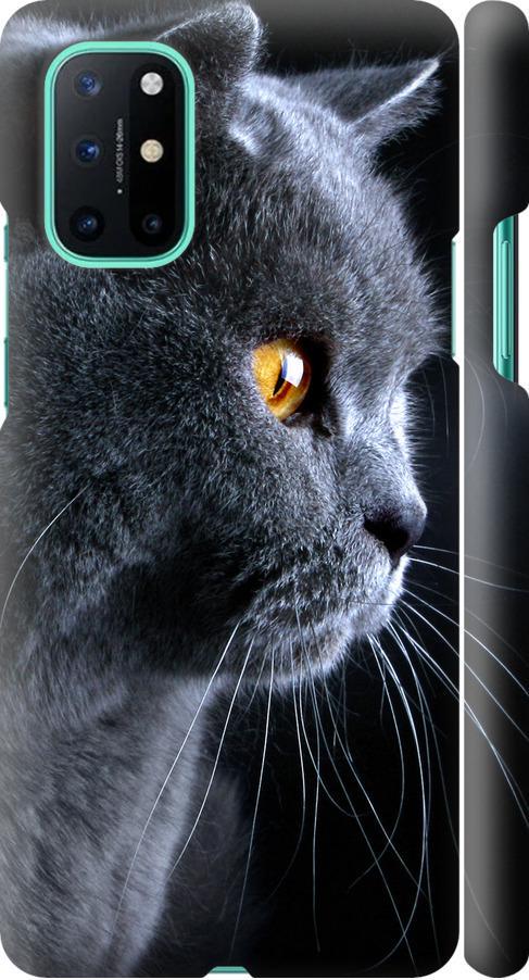 Чехол на OnePlus 8T Красивый кот (3038m-2113-42517)