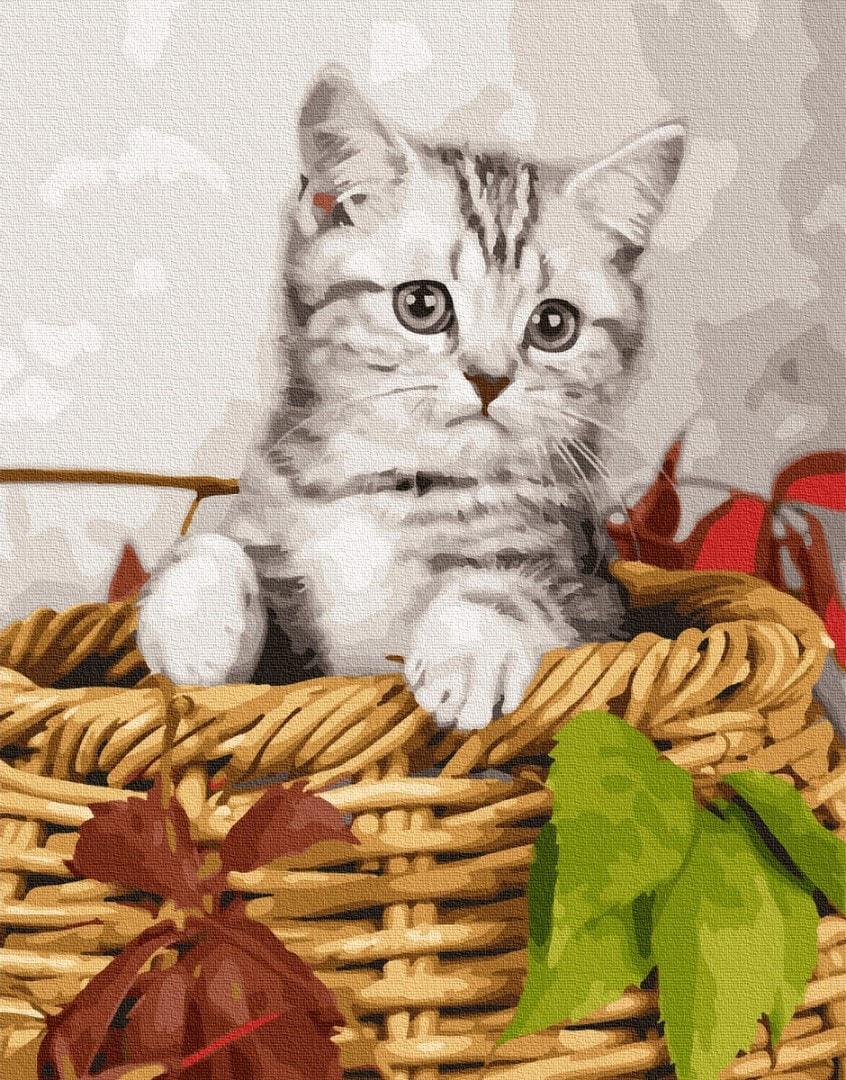 Картина по номерам Brushme GX26366 Котенок в корзине 40x50 см (1305939384) Картина по номерам Brushme GX26366 Котенок в корзине 40x50 см (1305939384)